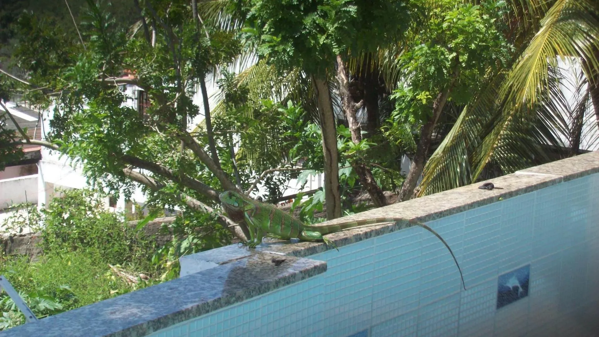 ** Kro Hotel Pousada Estacao Do Sol Natal Brasilien